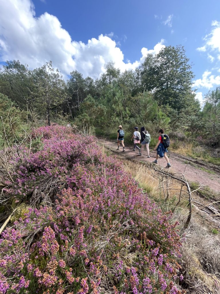 randonnée à Brocéliande après une séance de yoga