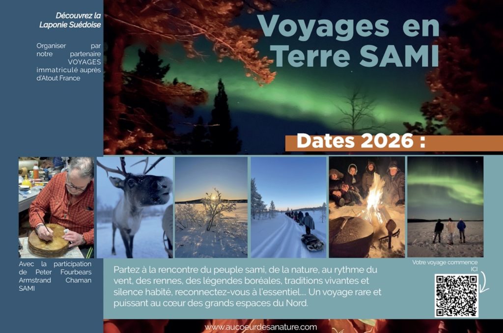 Voyage en laponie Suédoise avec un chamane sami