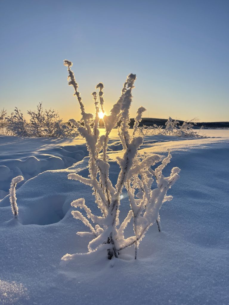 paysage sous la neige et la lumière de laponie suédoise