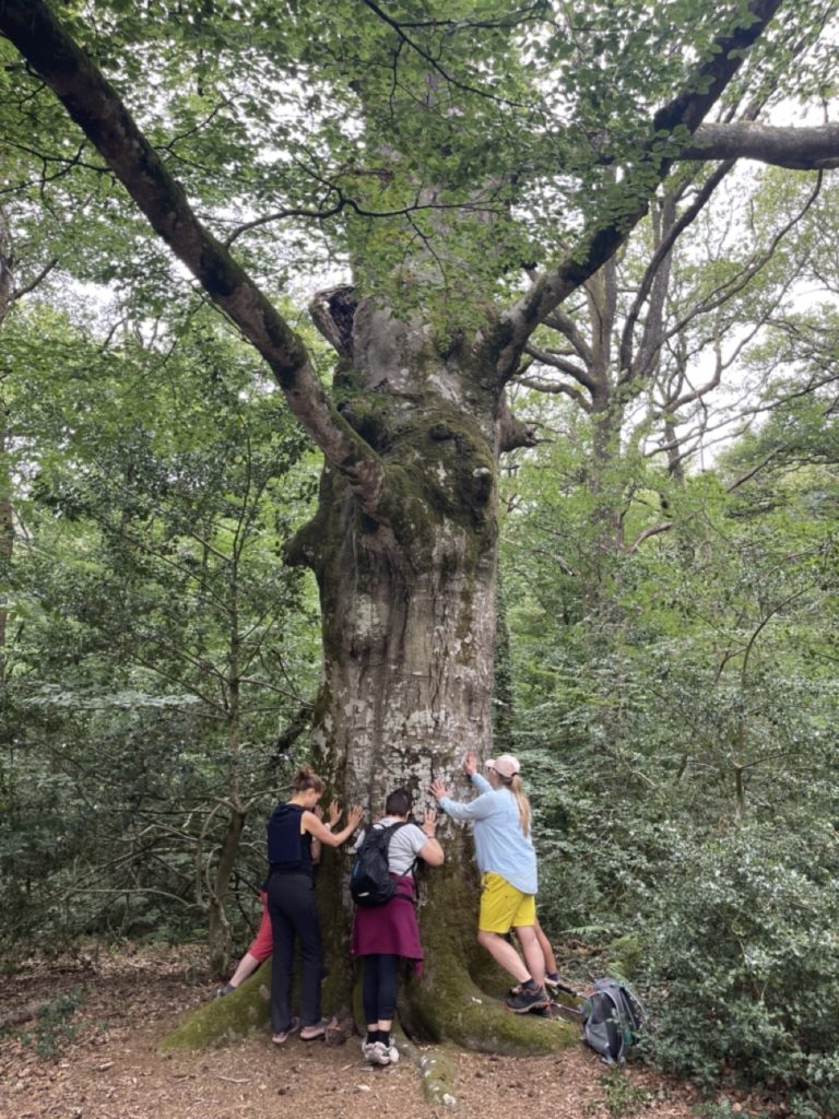 Programme du séjours Rando & Yoga à Brocéliande