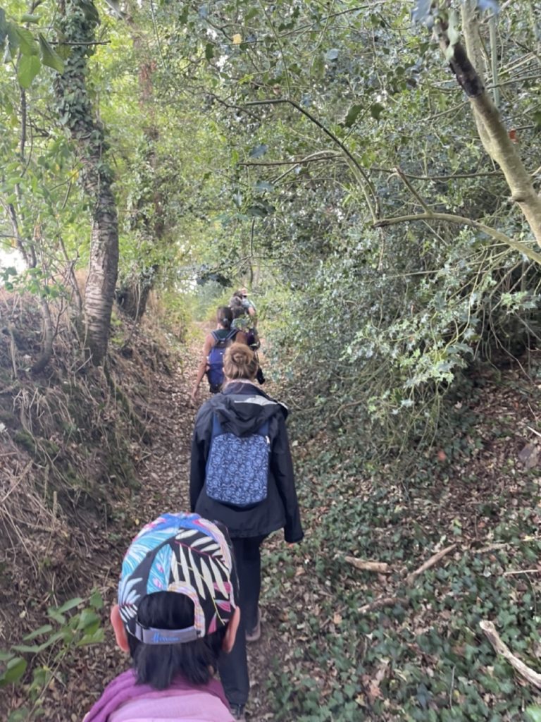 balade dans la foret de Brocéliande
