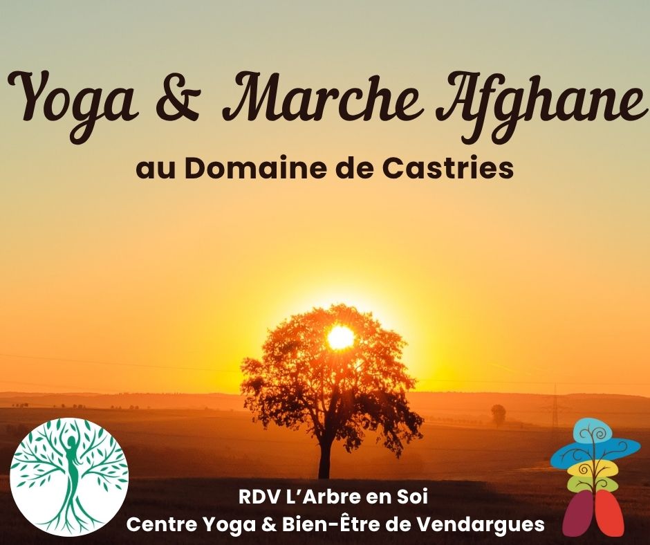 Yoga & Marche afghane au parc du chateau de castries près de Montpellier