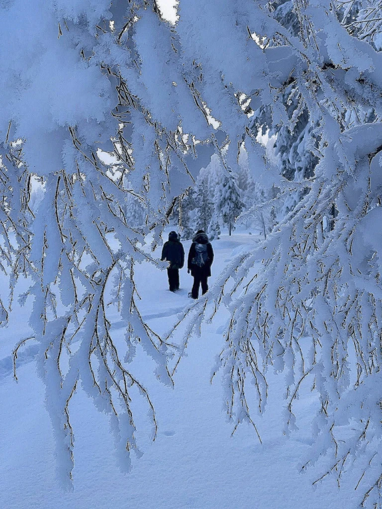 excursion en raquette à neige en laponie suédoise