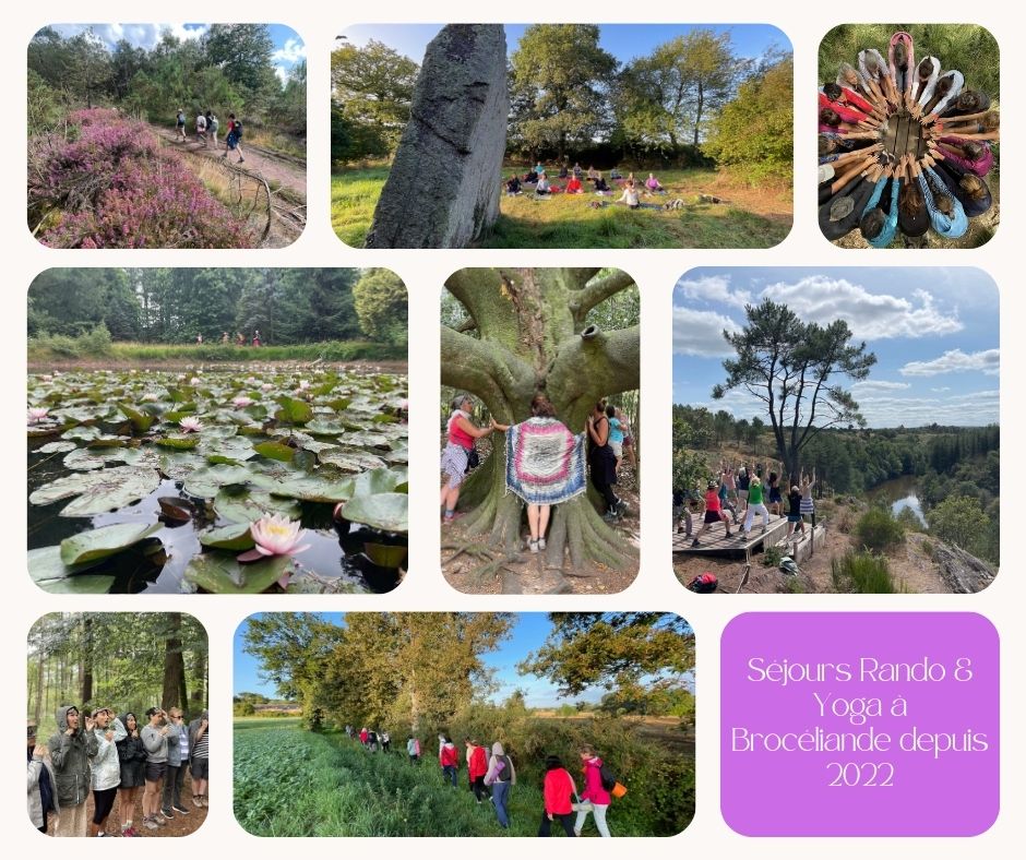 Michael ROUHAUD organisateur de séjours Rando & Yoga à Brocéliande depuis 2022