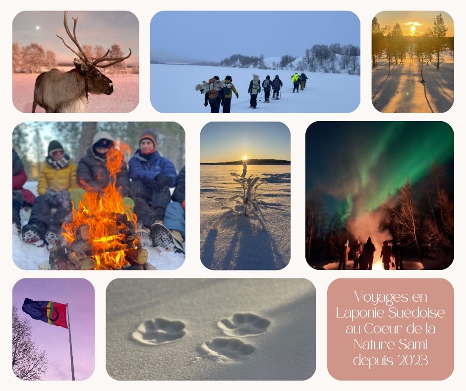 Michael ROUHAUD accompagnateur en montagne sur des voyages en laponie suédoise