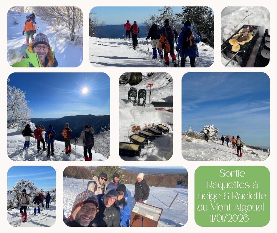 Sortie raquettes à neige au Mont-Aigoual avec dégustation de raclette sur la neige