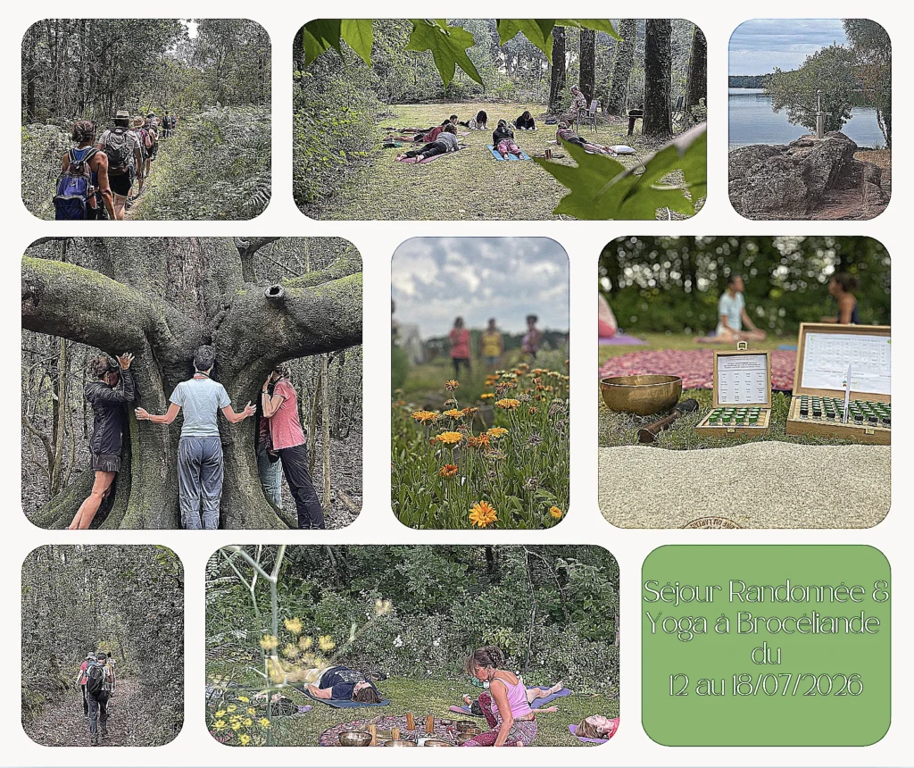 Avis et témoignages sur Retraite rando & yoga en bretagne à Brocéliande