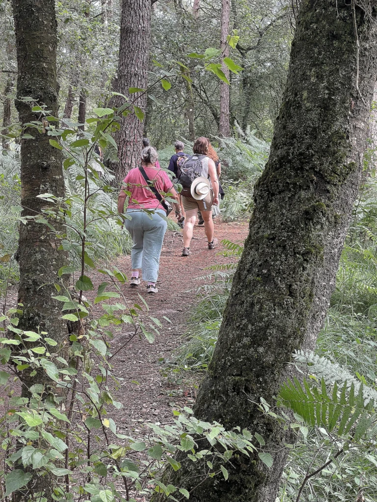 marche afghane en bretagne dans la forêt de brocéliande