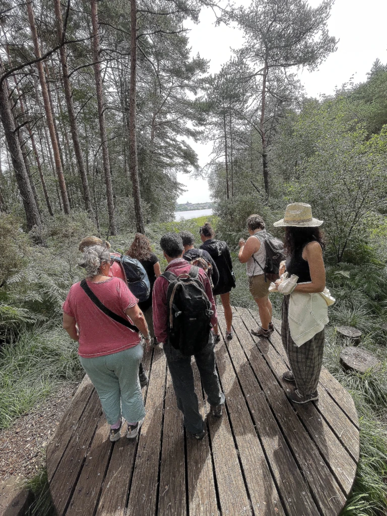 randonnée à la forêt de Paimpont à Brocéliande