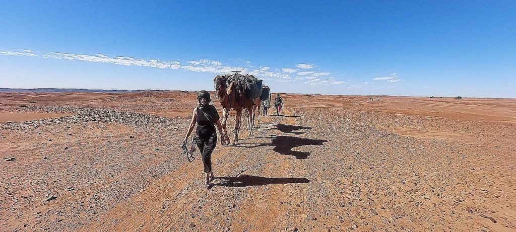 randonnée dans le désert de M'hamid avec l'oiseau du désert