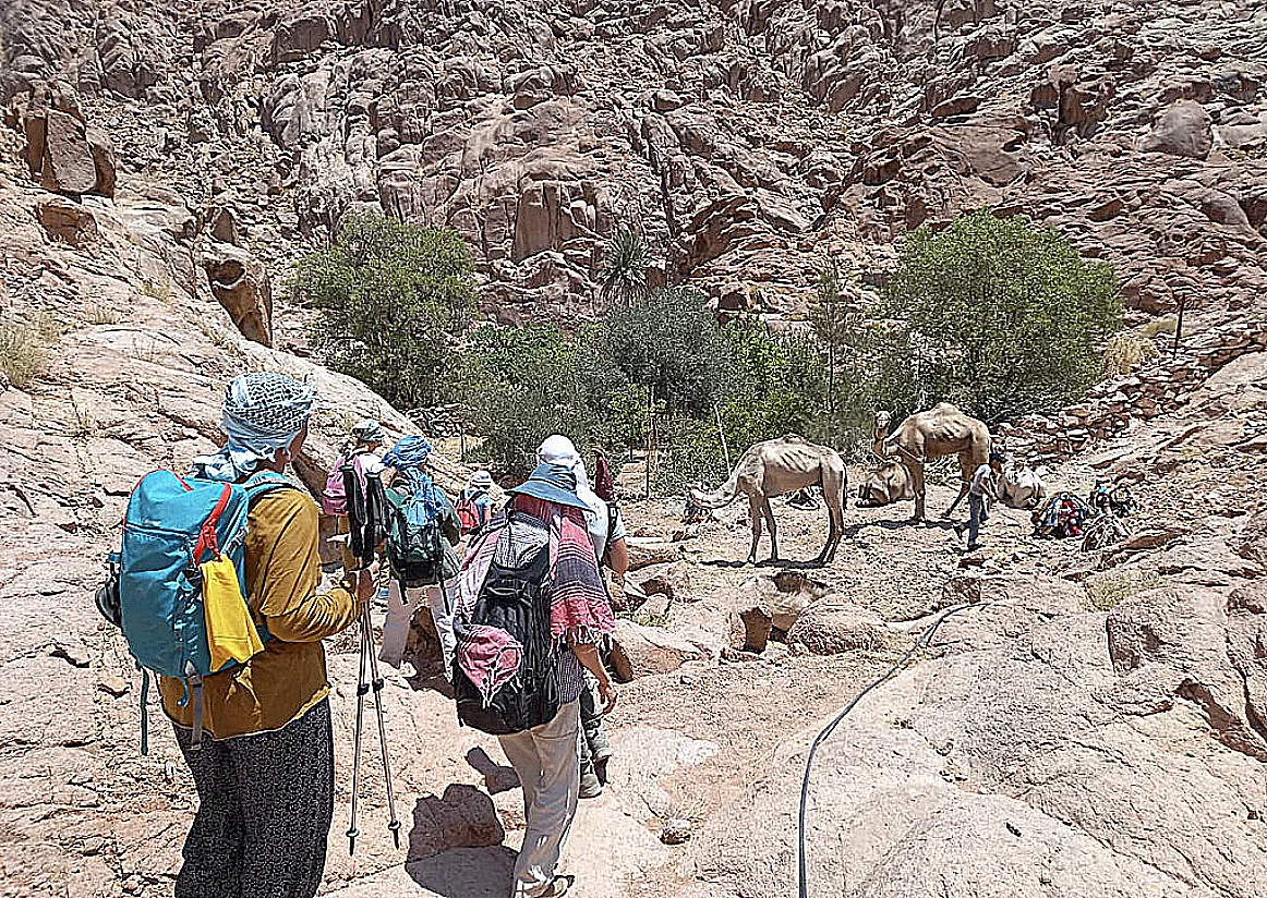 Randonnée dans les montagnes du Sinaï en Egypte