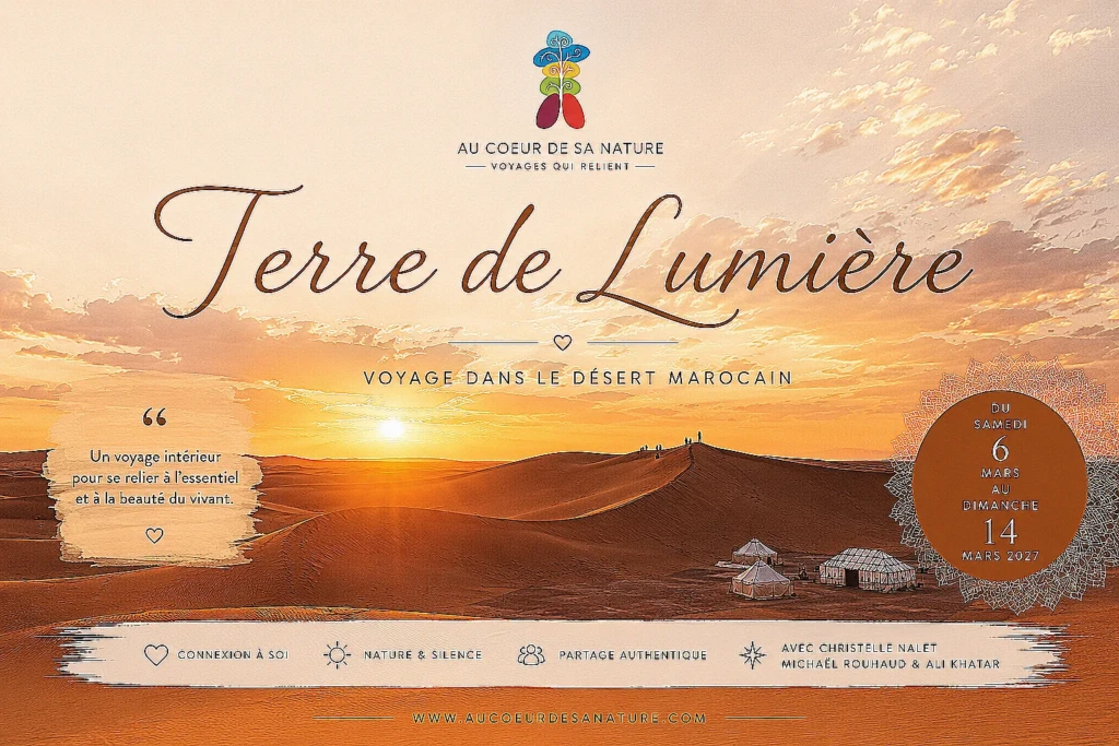 Terre de lumière un voyage chamanique au coeur du désert au maroc