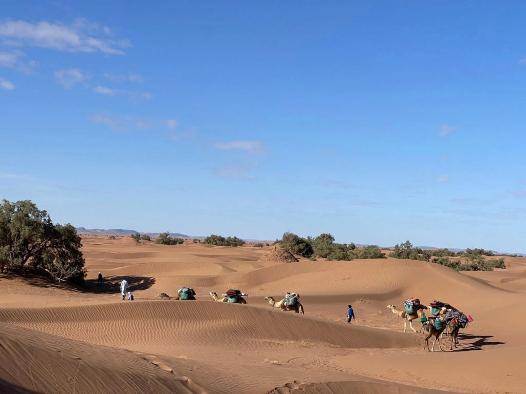 Itinérance dans le désert en marchant de bivouac en bivouac