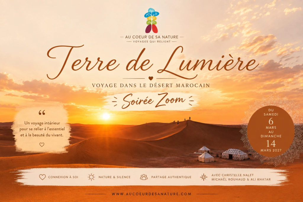 Soirée ZOOM voyage Terre de Lumière dans le désert Marocain