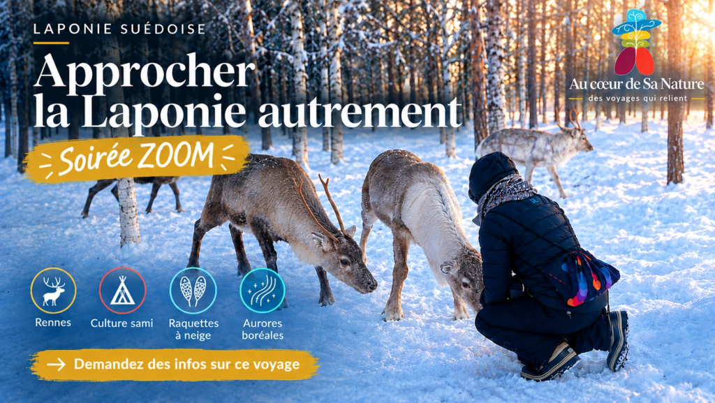 Soirée ZOOM d'information au voyage en laponie pour rencontrer la culture sami