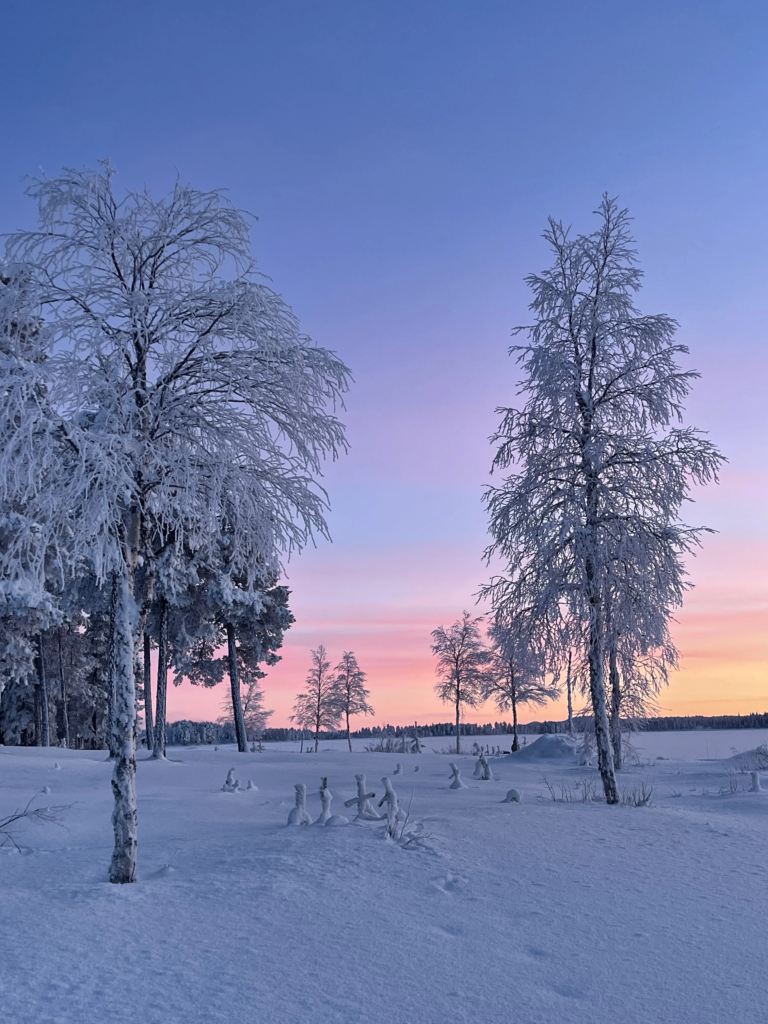 Et si la nature ne nous donnait pas de réponses ?