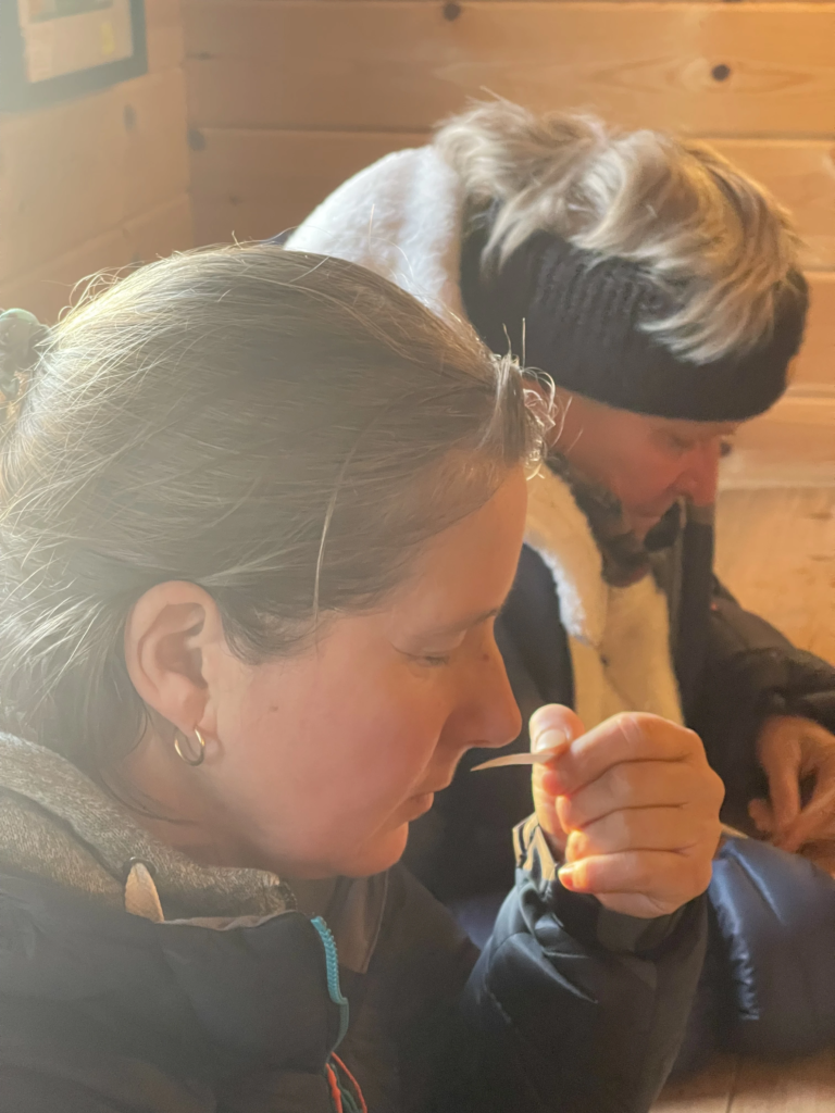 Qu’est-ce que l’olfactothérapie ou le pouvoir olfactif des huiles essentielles