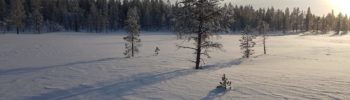 Voyage en suède avec une chamane SAMI