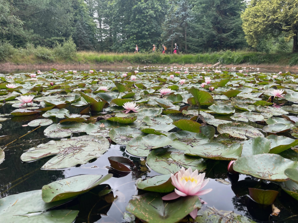 Retraite Rando et Yoga en Bretagne à Brocéliande juillet 2026