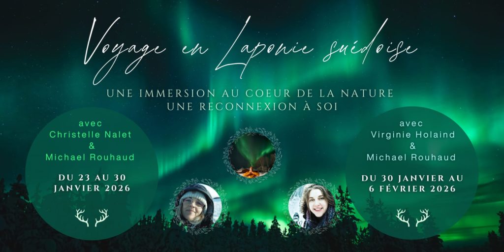 Voyage en laponie suédoise au coeur de la nature SAMI