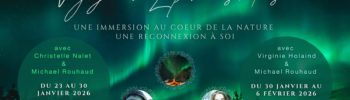 Voyage en laponie suédoise au coeur de la nature SAMI